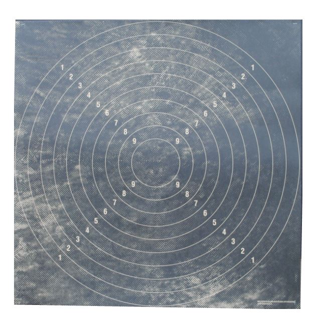 Target Board Deer Bullseye 66x66cm 1 Piece - Game targets - 240480 - 1