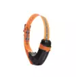 Tracker Luna - Dog GPS - 42811 - 2