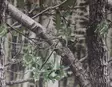 Live Decoys Camouflage Net 1.5 x 5m - Camouflage nets - LDG802 - 1