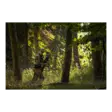 Härkila Deer Stalker camo fleece jacket - Hunting and outdoor jackets - 5707335500292 - 23