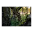 Härkila Forest Hunter GTX Camo Pants - Hunting and outdoor pants - 5714733774552 - 14