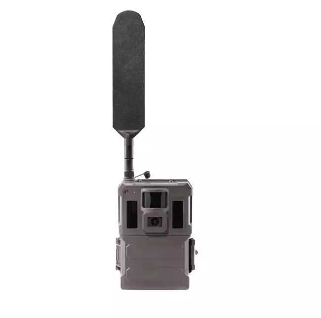 Burrel S22WA Trail Camera - Recording game cameras - 820035 - 1
