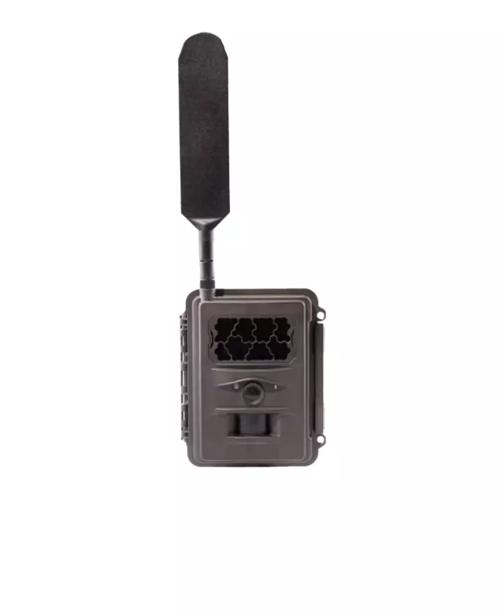 Burrel N24 Trail Camera - Recording game cameras - 42776 - 1