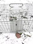 Hedgehog Trap 134x28x32cm - Traps - 515219 - 3