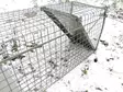 Hedgehog Trap 134x28x32cm - Traps - 515219 - 4