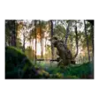 Härkila Forest Hunter GTX Camo Jacket - Hunting and outdoor jackets - 5714733774439 - 24