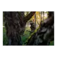 Härkila Forest Hunter GTX Camo Jacket - Hunting and outdoor jackets - 5714733774439 - 26